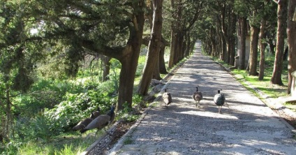 Muntele Filerimos din Rodos fotografie a mănăstirii, cruce