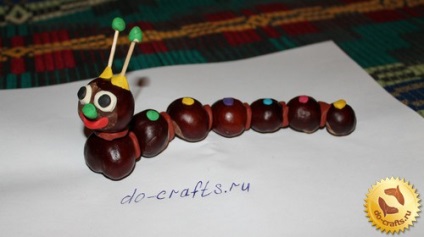 Caterpillar din castane, material natural manual