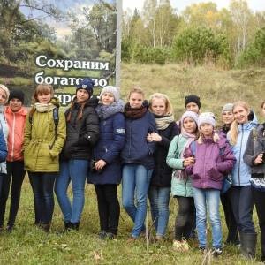 Cum lupii au reusit sa restaureze ecosistemul Yellowstone, un articol din lume, un eco-