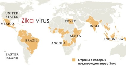 Ce boli care poartă țânțari în Rusia, malarie, boală zick, filariasis limfatic, galben