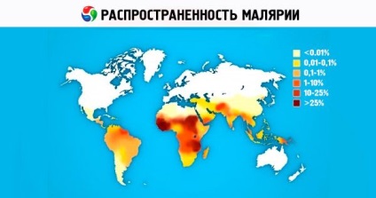Milyen betegségek szúnyogok hordozzák a malária Oroszország, Zeke-kór, elefantiázis, sárga