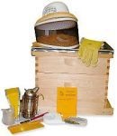 Cum să deschizi o afacere în apicultură