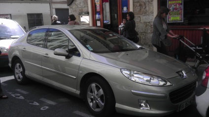 Cum să parcați o mașină în Nisa