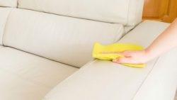 Cum să cureți canapeaua la domiciliu de murdărie și miros fără un video de divorț