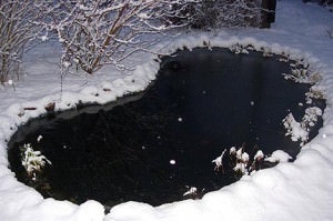 Hogyan készüljünk a tó a téli hibernáció kerti tavak könnyű