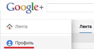 Cum să confirmați autorizarea Google pe site fără a adăuga linkuri