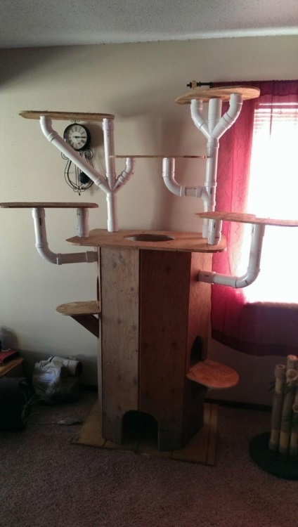 Cum de a construi o casă de joc uimitoare pentru o pisică sub formă de copac