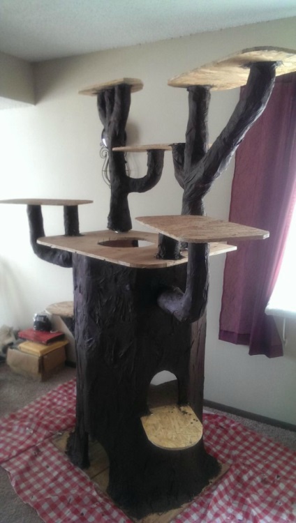 Cum de a construi o casă de joc uimitoare pentru o pisică sub formă de copac