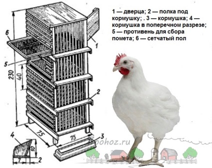 Cum sa faci colivii pentru carnea de pui cu mainile in conditiile casei instructiunea cu desene si o fotografie