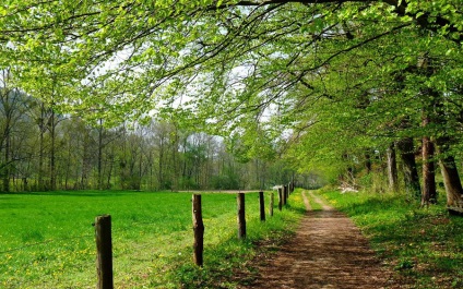 Cum să faci o fotografie frumoasă a mai multor reguli de bază