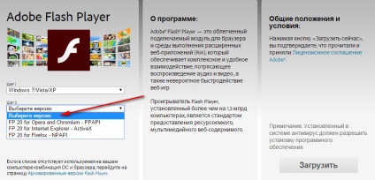 Cum să descărcați și să instalați flash player Adobe pe computerul dvs. pentru Windows 7 instrucțiuni pas cu pas