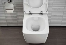 Hogyan válasszuk ki a megfelelő választás a WC-ülőke, ami jobb, hogy vesz egy otthon, szakértői tanácsadás, típusú fröccsenés