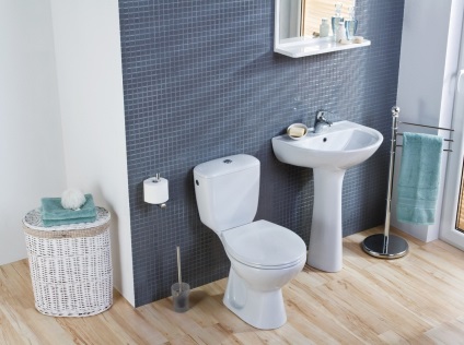 Hogyan válasszuk ki a megfelelő választás a WC-ülőke, ami jobb, hogy vesz egy otthon, szakértői tanácsadás, típusú fröccsenés