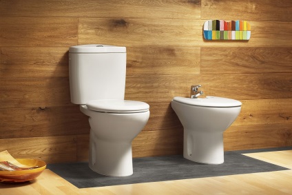 Cum de a alege un vas de toaletă alegerea potrivită, care este cel mai bun pentru a cumpara pentru o casa, sfaturi de un specialist, tipuri fără pulverizare