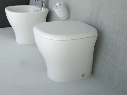 Cum de a alege un vas de toaletă alegerea potrivită, care este cel mai bun pentru a cumpara pentru o casa, sfaturi de un specialist, tipuri fără pulverizare