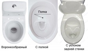 Cum de a alege un castron de toaletă - sfat de stăpâni