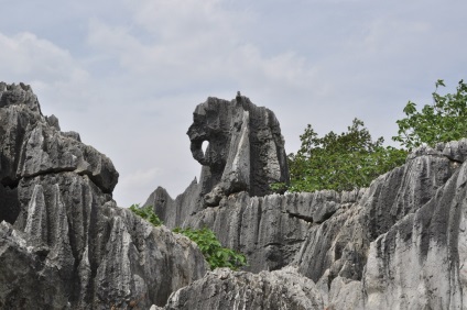 Shilin Stone Forest