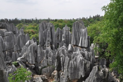 Shilin Stone Forest