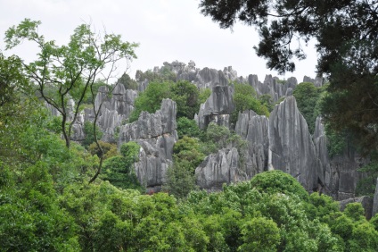 Shilin Stone Forest