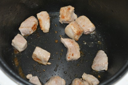 Savanyú leves savanyú káposzta hússal multivarka - hogyan kell főzni leves savanyú káposzta