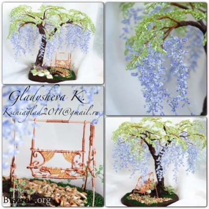 Chineză Wisteria