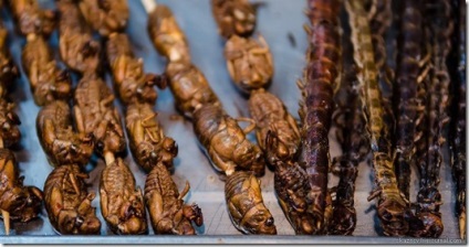 Scorpionii din China gătesc în viață, unul din revista doamnă pentru femei