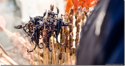 Scorpionii din China gătesc în viață, unul din revista doamnelor pentru femei