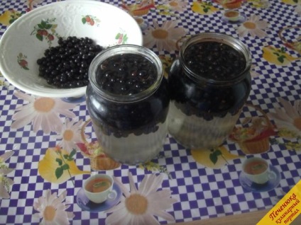 Compote din coacăz negru conservată (rețetă pas cu pas cu fotografie)