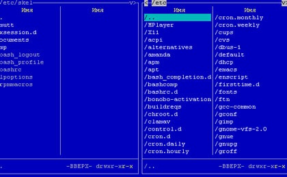 Configurarea capabilităților de rețea altlinux, hostinfo