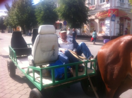 Cabina de cai a apărut în Bobruisk