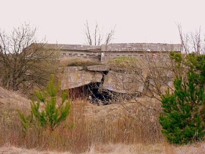 Stronghold este o junincă