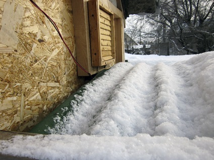 Pui de găină, paleți, ventilație, copii de porumb