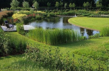 Kerttervezés parkolás Szentpéterváron, táj stúdió derevo park