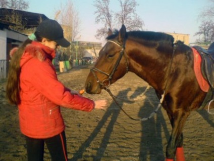 Calul rasei Karabaire