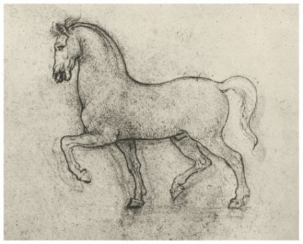 Horse Leonardo da Vinci - site despre cai