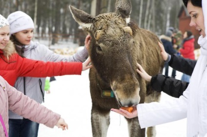 Insula Elk - un parc din capitală