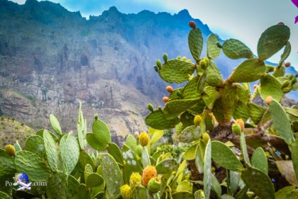 O mască în Tenerife este un chei, un sat și o plajă