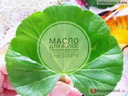 Ulei pentru îngrijirea părului garnier botanic therapy