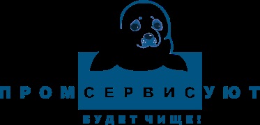 Cursuri de masterat în curățare, servicii de curățenie în Syktyvkar de la - promservis-confort