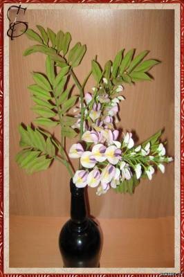 Maestru de clasă pe floarea wisteria