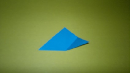 Master class în tehnica origami 