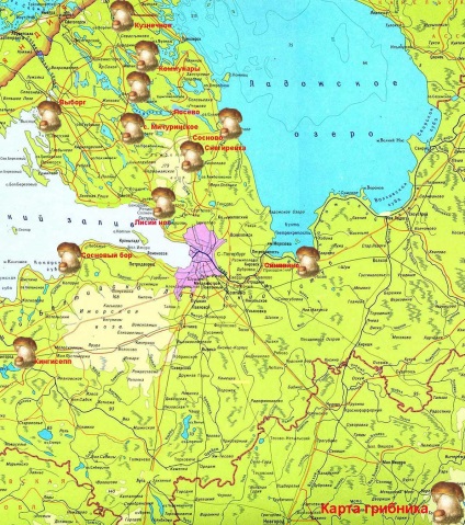 Helyek gombák gyűjtése a leningrádi régióban (Mushroomer térkép)