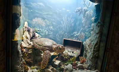 Moscova Oceanarium - odihnă-te cu copiii