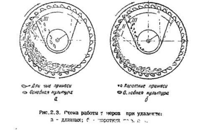 Tisztítás gabona Trier