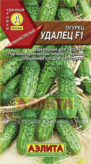 Castravete ubilec f1 cumpara seminte de producator en-gros si cu amanuntul de castraveti