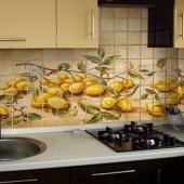 Декорация на стените в кухнята камък - снимки, декоративни изкуствен камък за кухня декорация