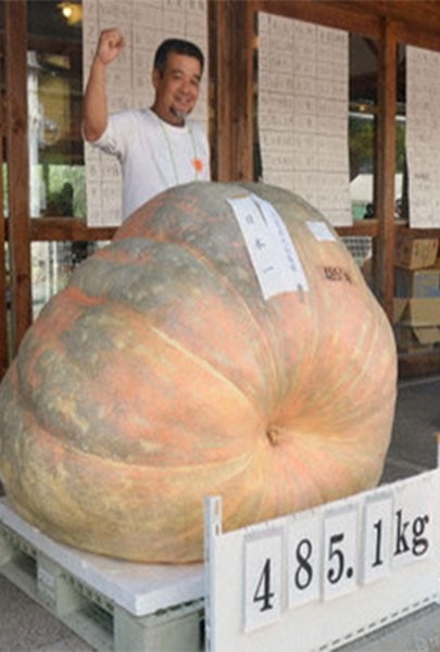 Legume gigant-titularii de înregistrare (19 fotografii) - fapte interesante cele mai incredibile și curioase din lume