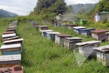 Apiary vagy farm részeként KFH