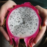 Pitaya acasă, semințe de fructe și legume exotice