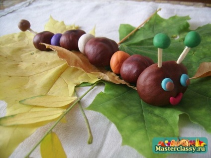 Craftwork of caterpillar castan, clasa maestru